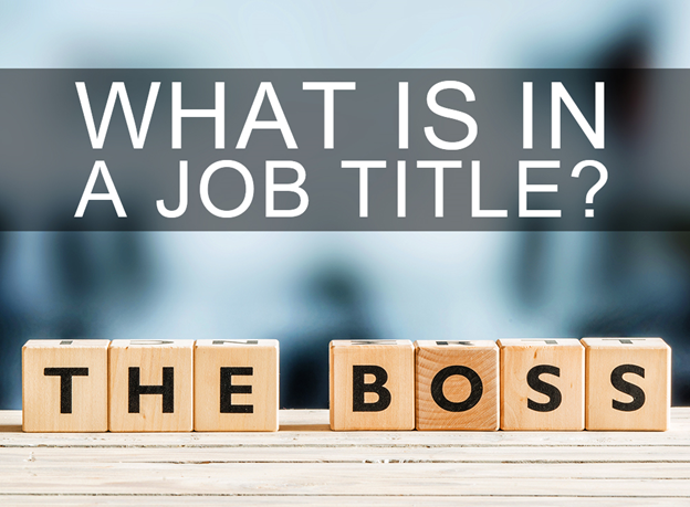 Job Title