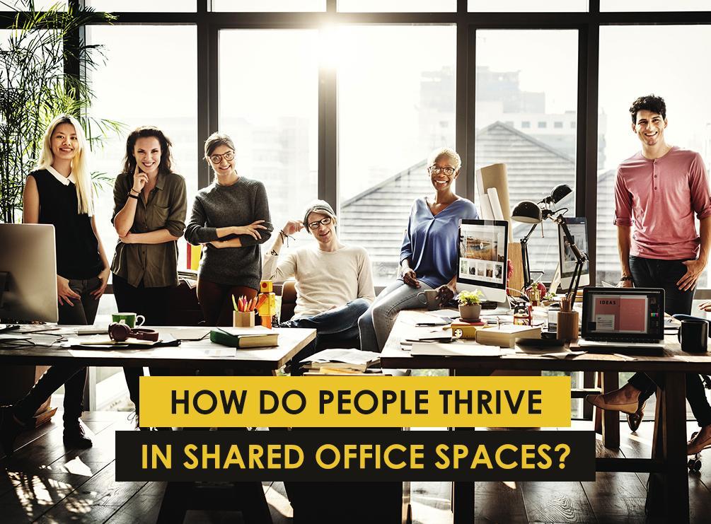 How Do People Thrive in Shared Office Spaces? Shared Office Spaces