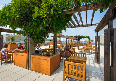 Outdoor space with trellis.